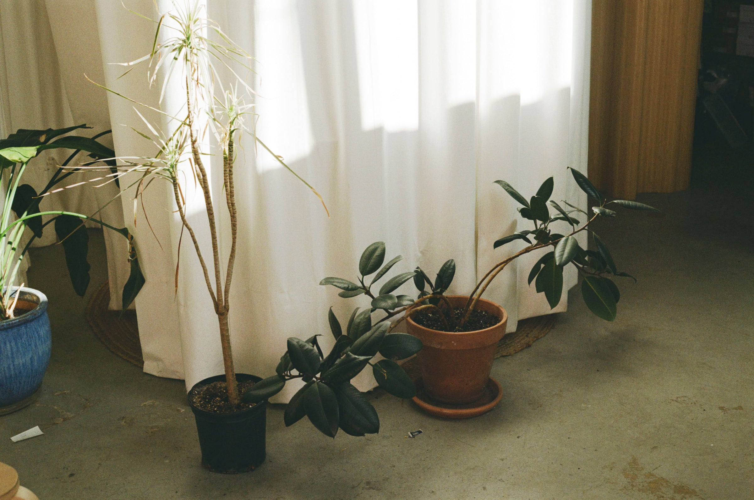 What qualities in others do you consider to be a beauty inspiration?