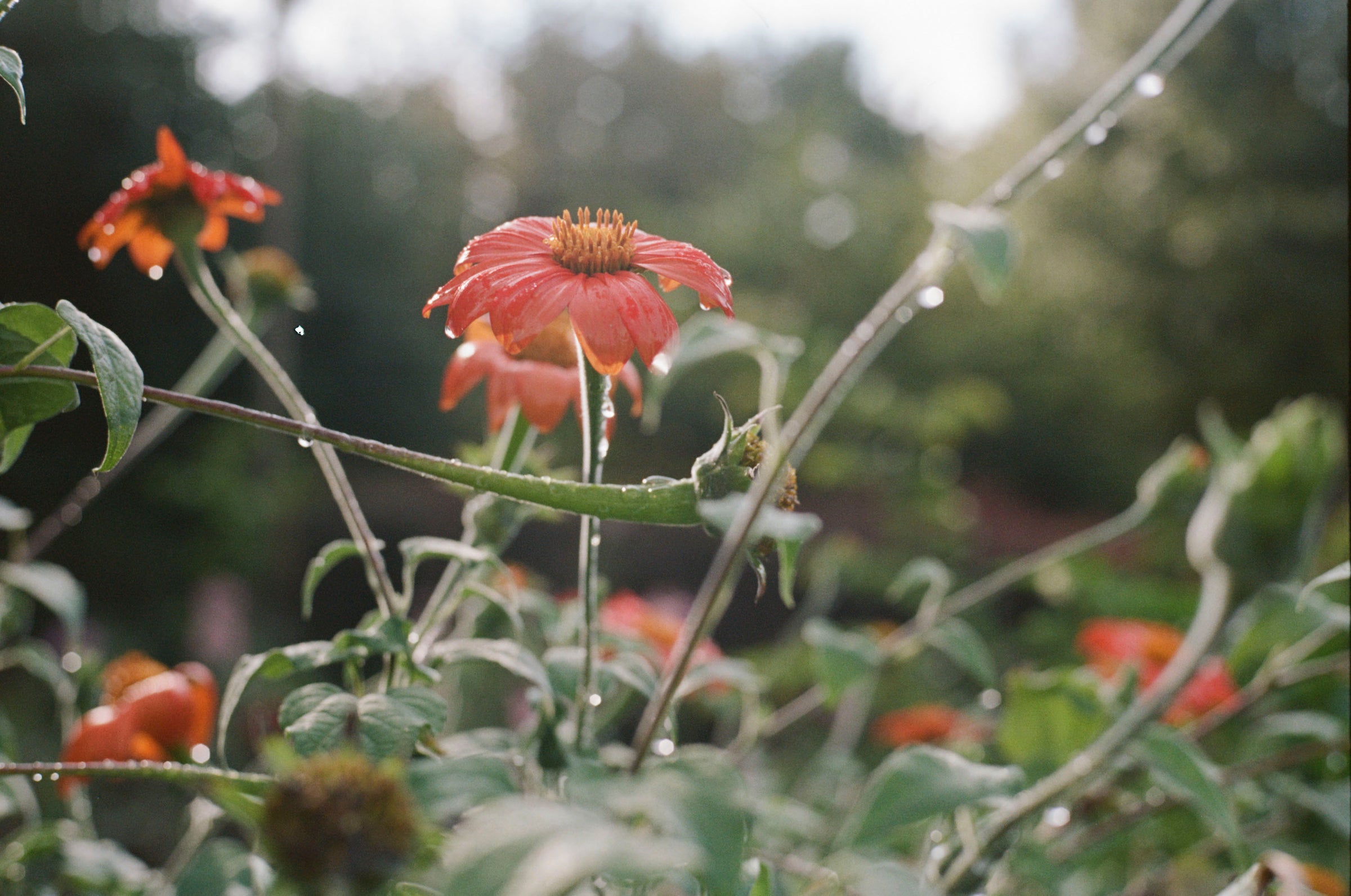 Where do you like to spend time in nature? 