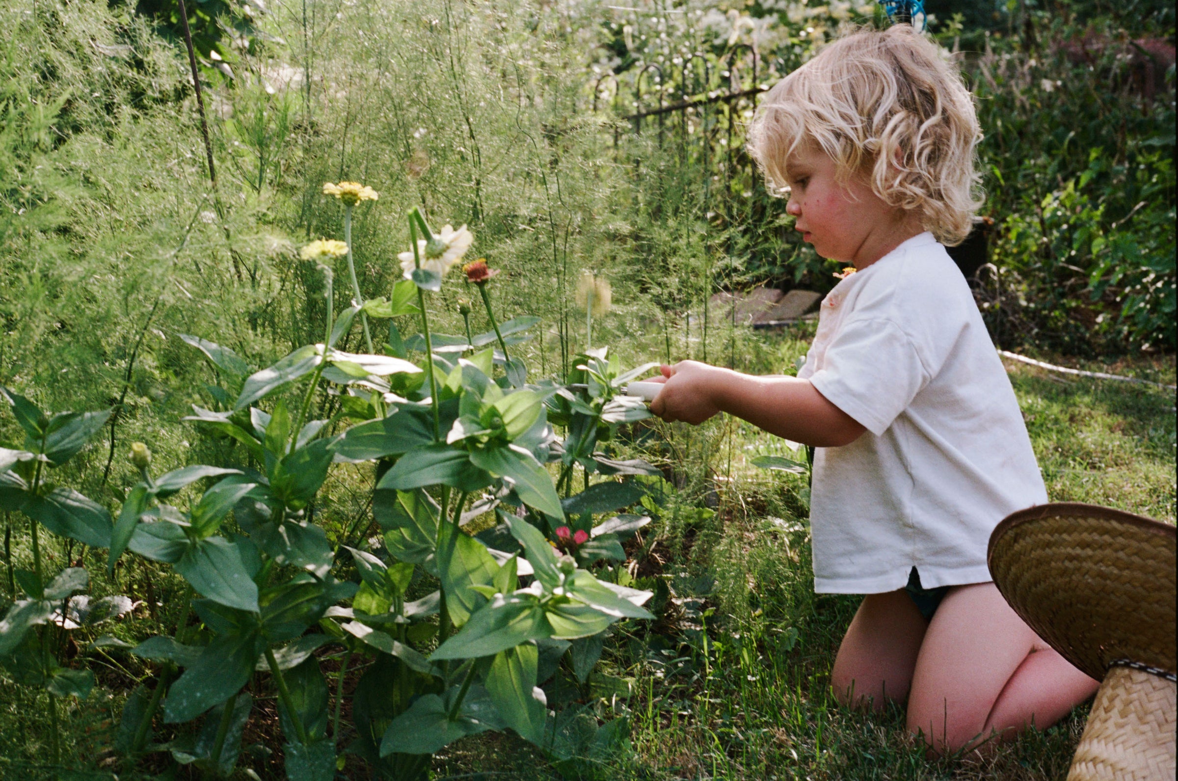 What is a good rule to live by?